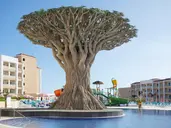 BAHIA PRINCIPE FANTASIA TENERIFE