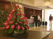 BAHIA PRINCIPE SUNLIGHT SAN FELIPE