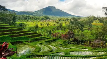 Bali I Lombok: Rajskie Wyspy, Różne Światy