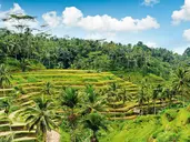 Bali Na Jawie