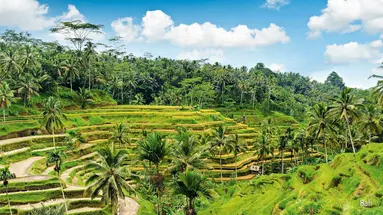 Bali Na Jawie
