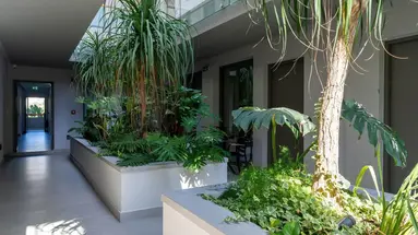 Bali Star Resort Boutique Hotel