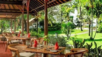 Bali Tropic