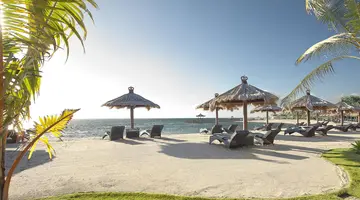 Bali Tropic