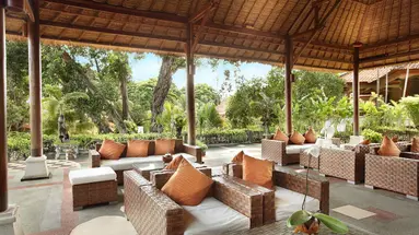 Bali Tropic