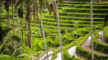 Bali - Wyspa Bogów
