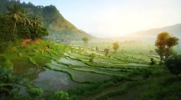Bali - wyspa różnorodności