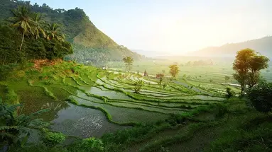 Bali - wyspa różnorodności