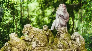Bali - wyspa różnorodności