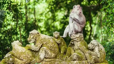 Bali - wyspa różnorodności