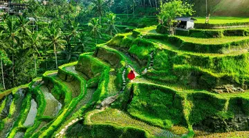 Bali - wyspa różnorodności