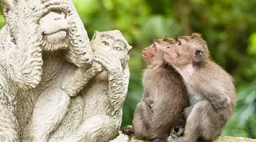 Bali - wyspa różnorodności