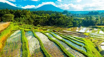 Bali - wyspa różnorodności