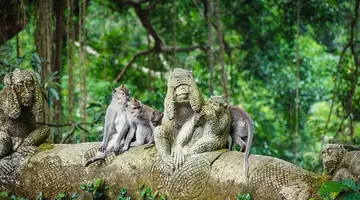 Bali - wyspa różnorodności