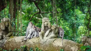 Bali - wyspa różnorodności