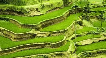 Bali - wyspa różnorodności