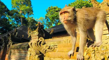 Bali - wyspa różnorodności