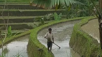 Bali - wyspa różnorodności