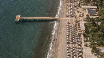 BALMY BEACH RESORT