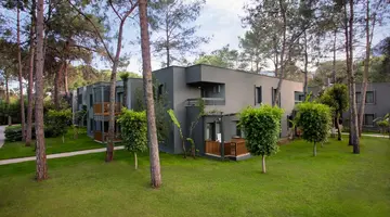 BALMY FORESTA (Ex Paloma Foresta)