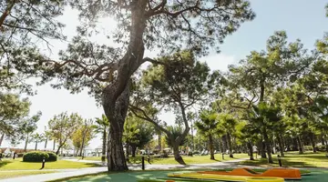 Balmy Foresta Kemer