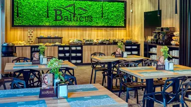 Balticus