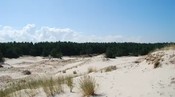 Bałtyckim Brzegiem - 3 dni