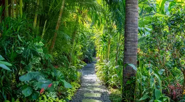 BAMBOO VILLAGE BEACH RESORT & SPA