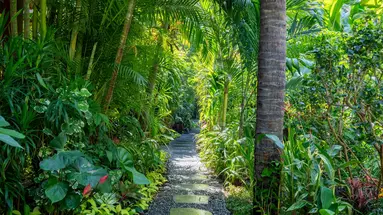 BAMBOO VILLAGE BEACH RESORT & SPA