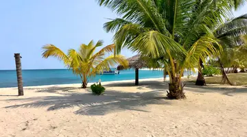 Bangaram Island Resort