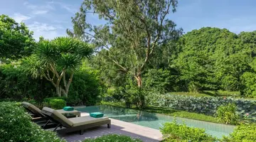 Banyan Tree Lang Co