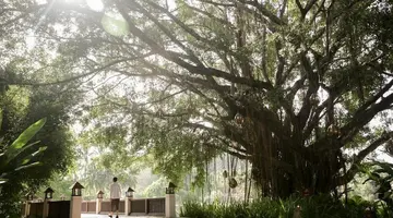 Banyan Tree Phuket