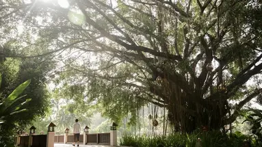 Banyan Tree Phuket