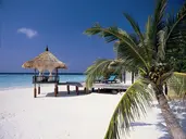 Banyan Tree Vabbinfaru