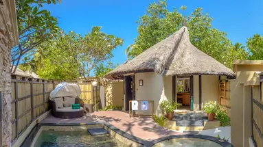 BANYAN TREE VABBINFARU