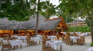 BANYAN TREE VABBINFARU