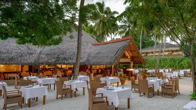 BANYAN TREE VABBINFARU