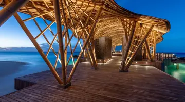 BANYAN TREE VABBINFARU