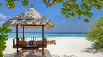 BANYAN TREE VABBINFARU
