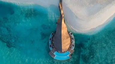 BANYAN TREE VABBINFARU