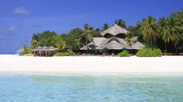 BANYAN TREE VABBINFARU