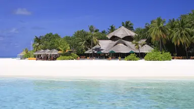 BANYAN TREE VABBINFARU