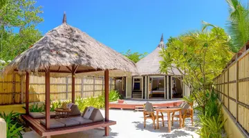 BANYAN TREE VABBINFARU