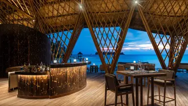 BANYAN TREE VABBINFARU