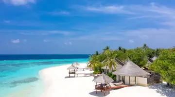 BANYAN TREE VABBINFARU