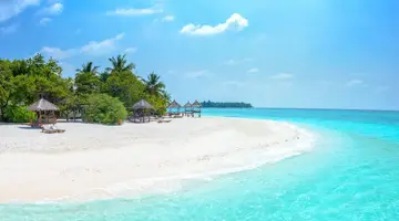 BANYAN TREE VABBINFARU