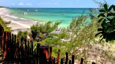 Baobab Beach Resort and Spa