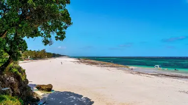 Baobab Beach Resort and Spa