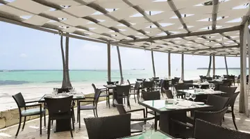 Barcelo Bavaro Beach Adults Only