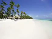 Barcelo Bavaro Beach Adults Only